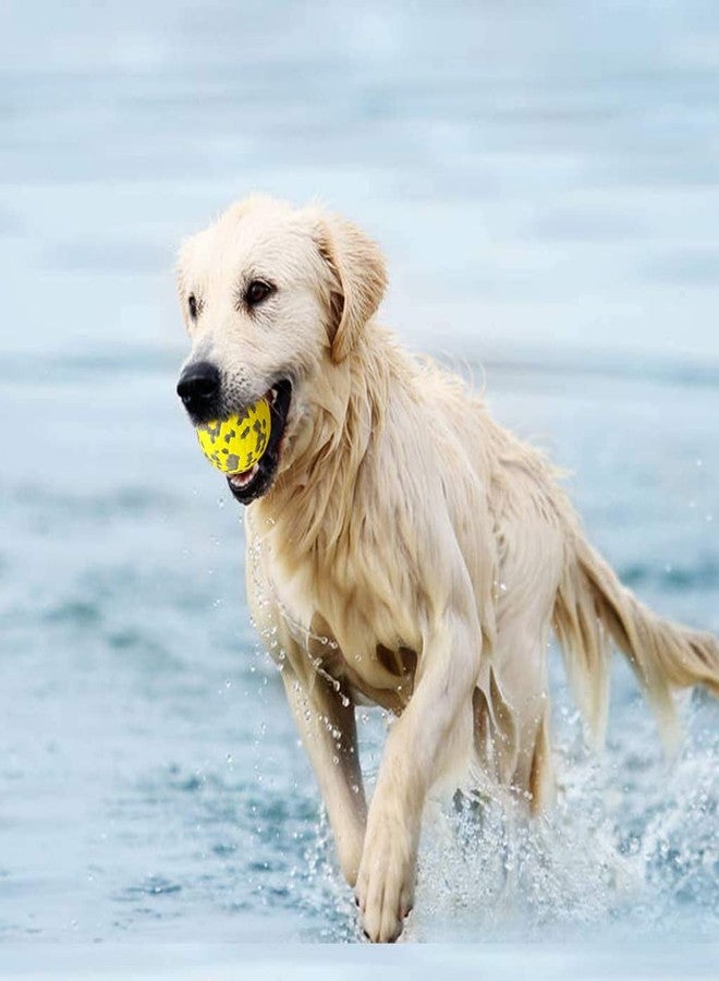 Qpets® 3 Inch Durable Bouncy Ball for Small, Medium, Big Dogs - High Elasticity TPU Dog Toy, Lightweight, Interactive, High Bounce - Molar Chew for Power Chewers - Image 5